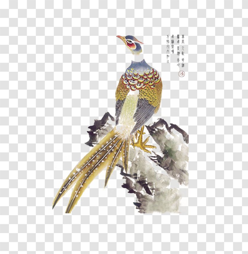 Bird-and-flower Painting Chinese Ink Wash Gongbi - Peacock Transparent PNG