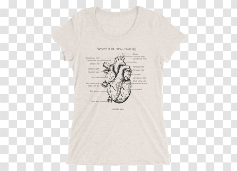 Printed T-shirt Amazon.com Top Clothing - Frame Transparent PNG