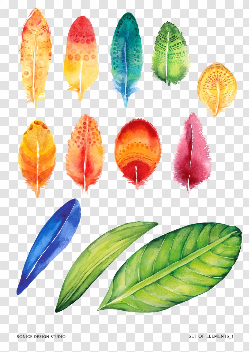 Painting - Leaf - Feather Transparent PNG