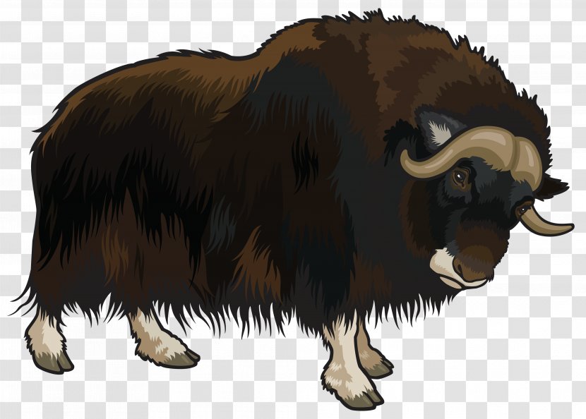 Domestic Yak Clip Art - African Buffalo - Cartoon Wolf Transparent PNG