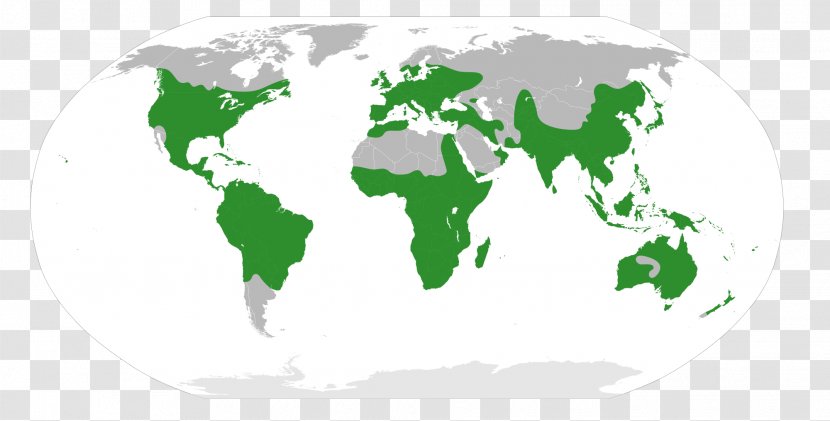 World Map Globe - Green Transparent PNG