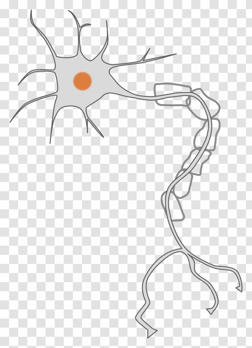 Neuron Nervous System Cell Clip Art - Frame - Neurons Transparent PNG