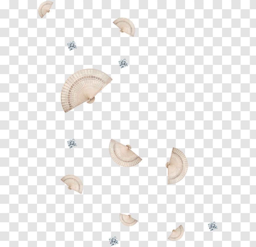 0 September 1 January - Seashell - 2018 Transparent PNG