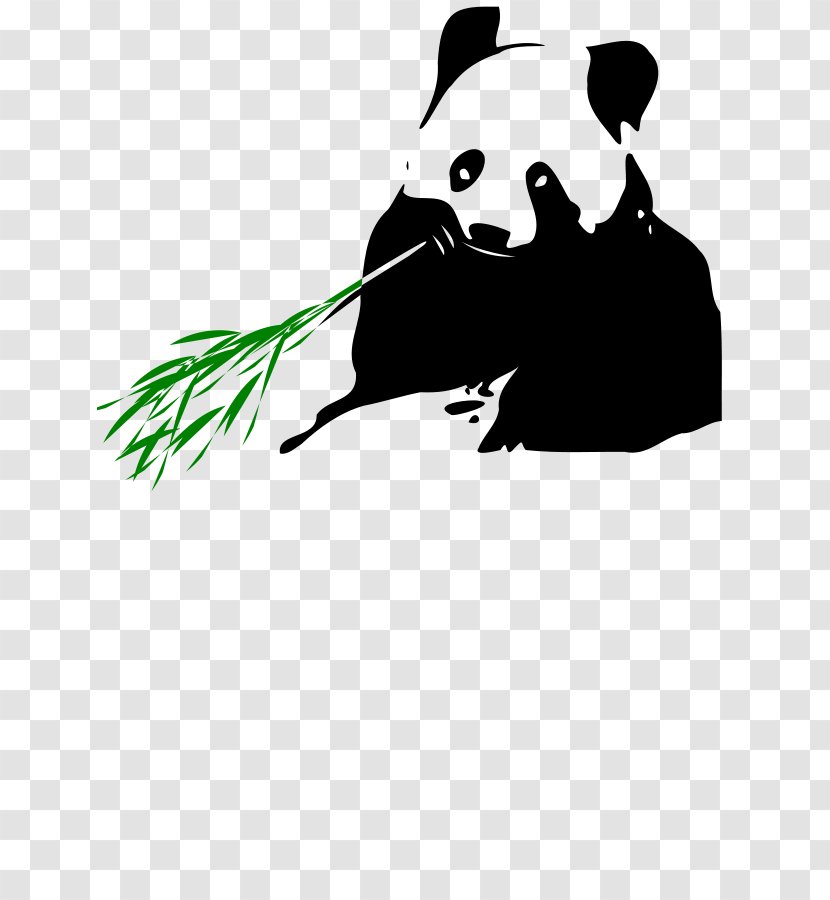Giant Panda Bear Image Clip Art Bamboo - Canvas Print Transparent PNG