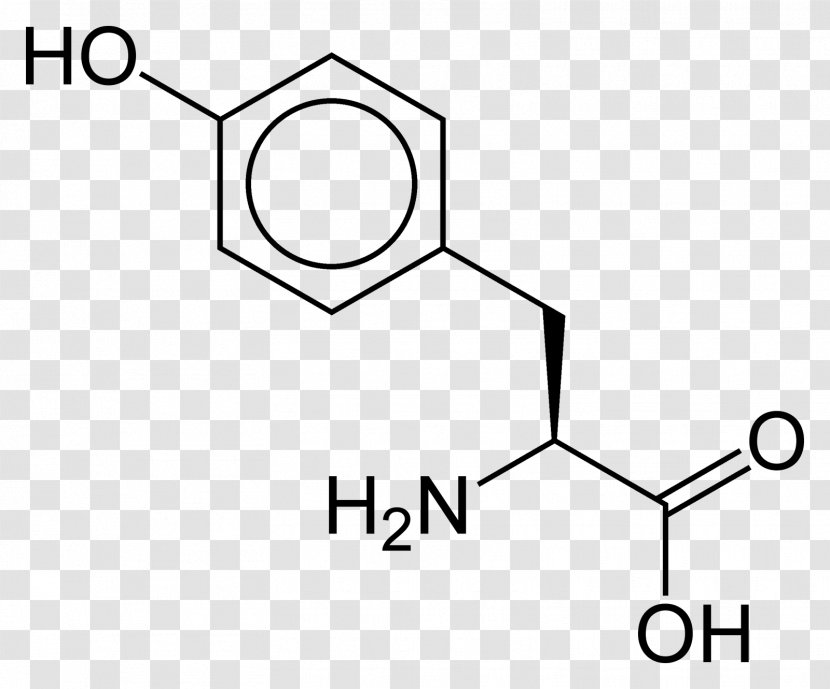 Lysine Amino Acid Isoleucine Glutamic - Monochrome Transparent PNG