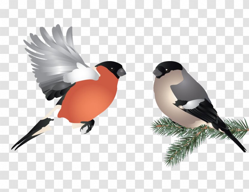 Bird Flight Illustration - Winter - Two Birds Transparent PNG