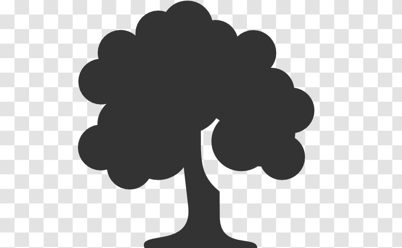 Tree Deciduous - Plant - Icon | Free Vector Download Transparent PNG