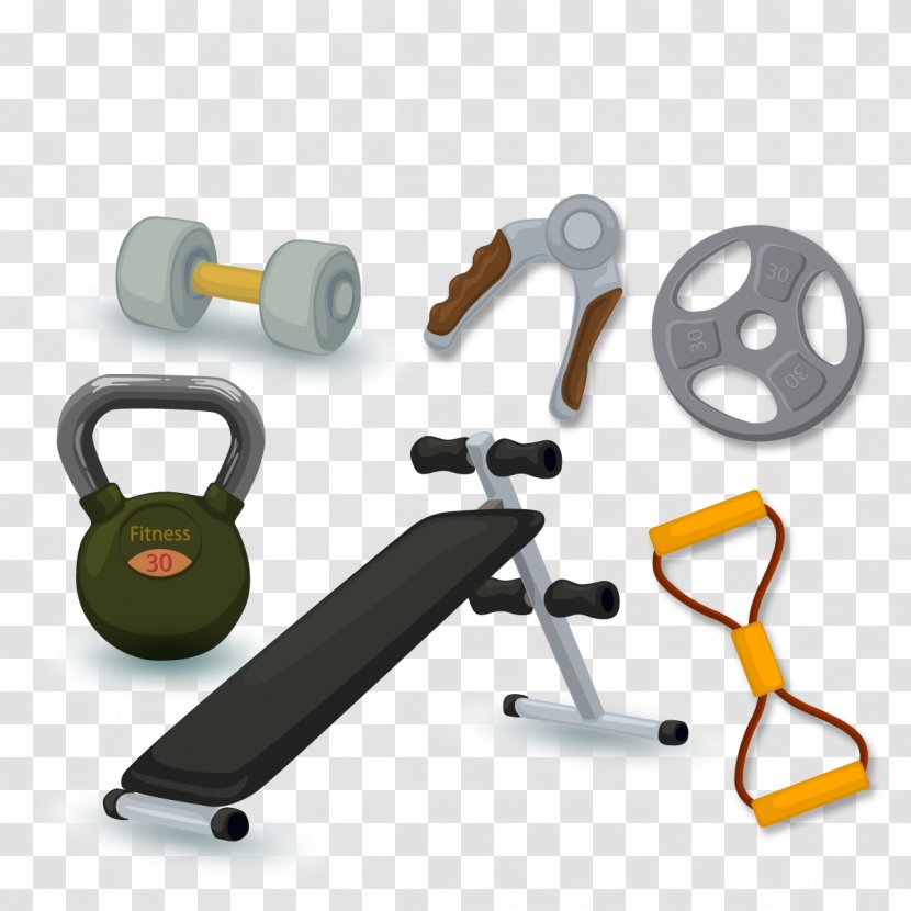 Bodybuilding Cartoon - Physical Exercise - Vector Sports Equipment Transparent PNG