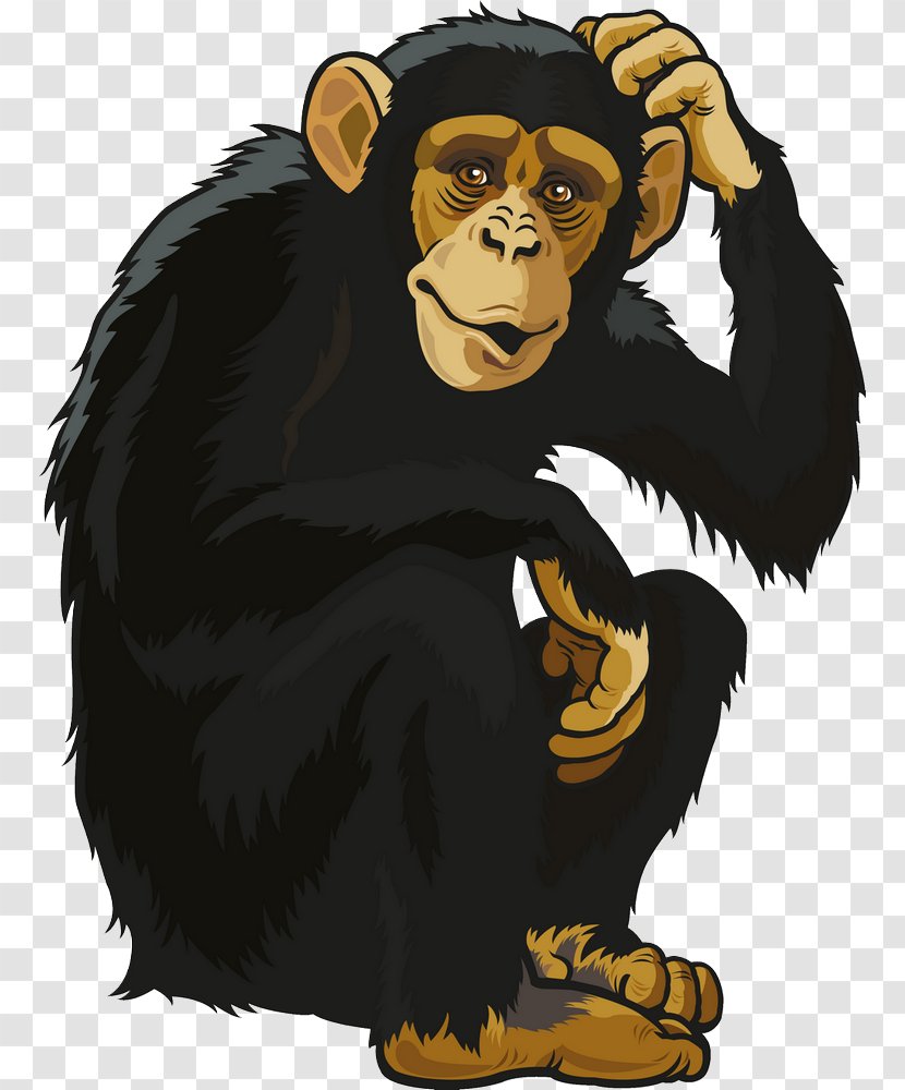 Chimpanzee Ape Clip Art Vector Graphics - Primate - Ribbon Transparent PNG