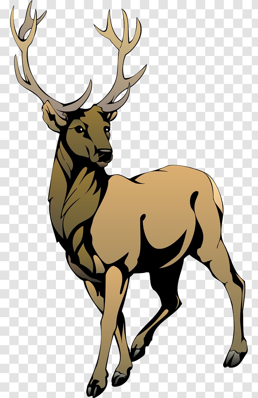 Red Deer Clip Art - Fauna Transparent PNG