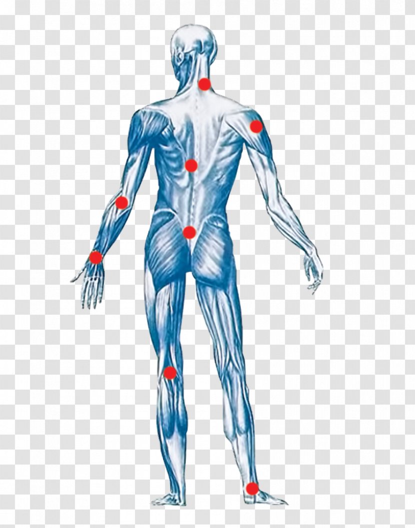 Back Pain Muscle Human Body Management - Flower - Gramercy Center Transparent PNG