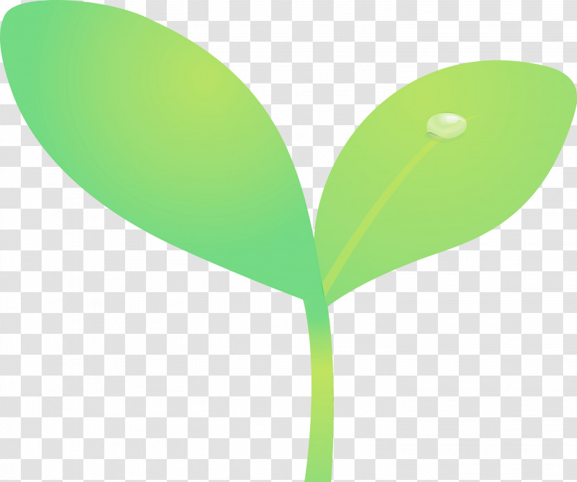 Green Leaf Plant Flower Plant Stem Transparent PNG