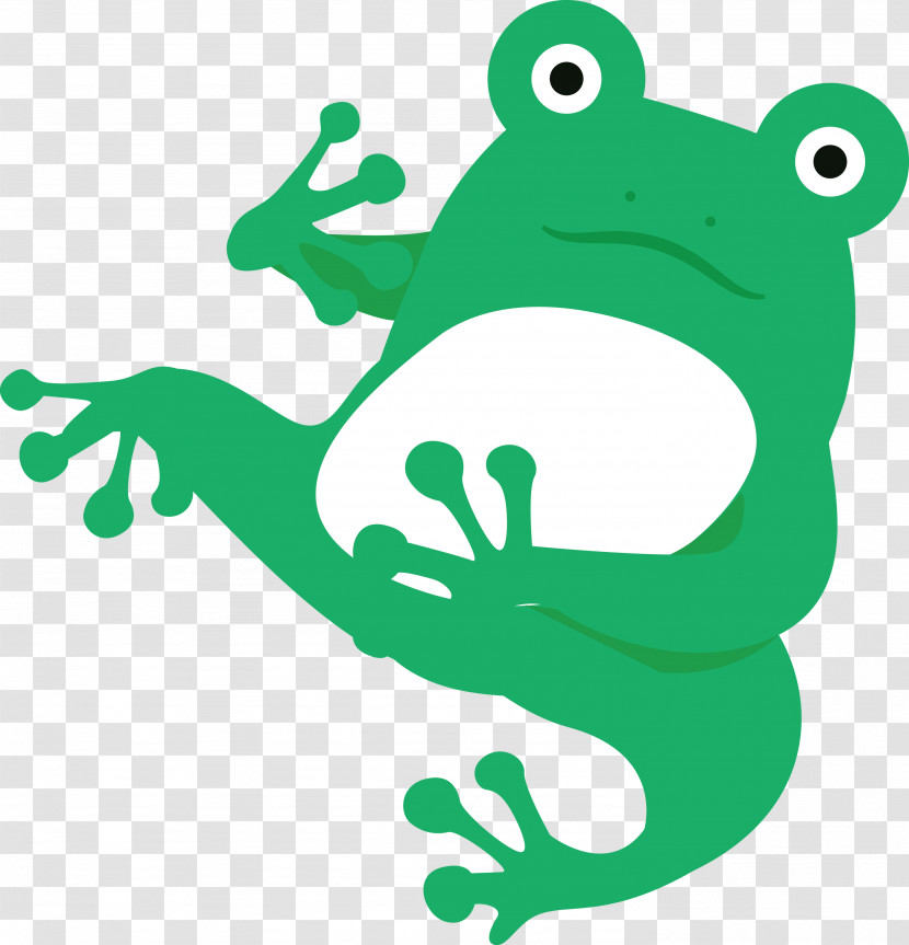 Toad Cartoon Frogs Tree Frog Line Transparent PNG