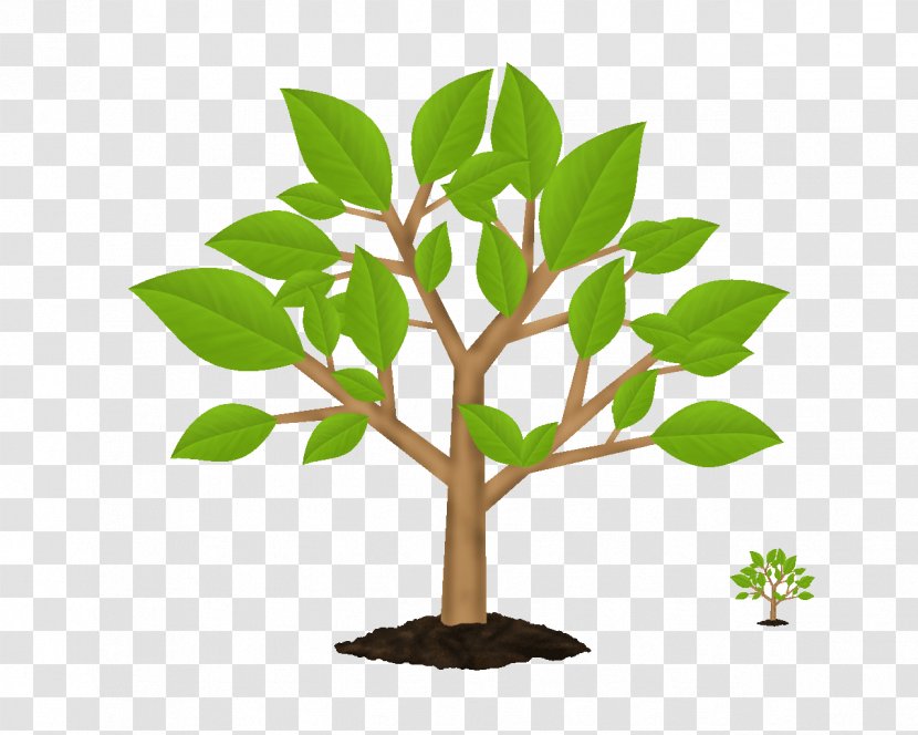 Tree Symbol Green Clip Art - No - Trees Transparent PNG