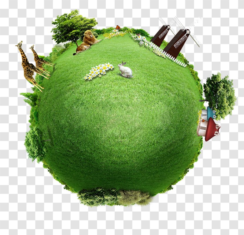 Earth Green Natural Environment Image Design - Grass Family Transparent PNG