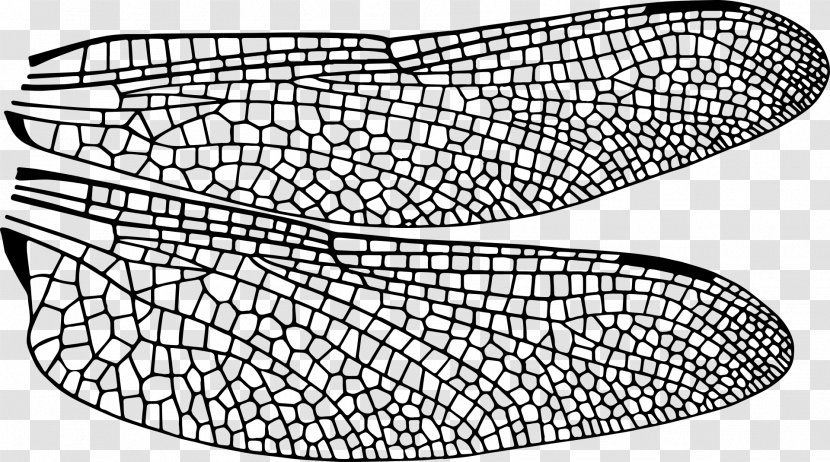Beetle Insect Wing Dragonfly Drawing Transparent PNG