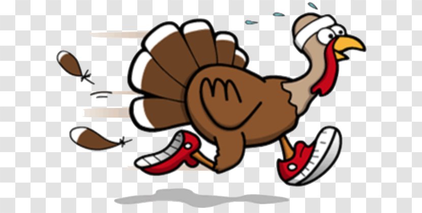 Turkey Trot Thanksgiving Running Walking Clip Art - Chicken Transparent PNG