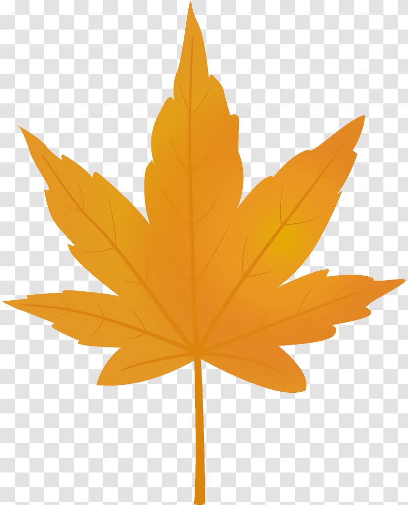 Maple Leaf Autumn Yellow Transparent PNG