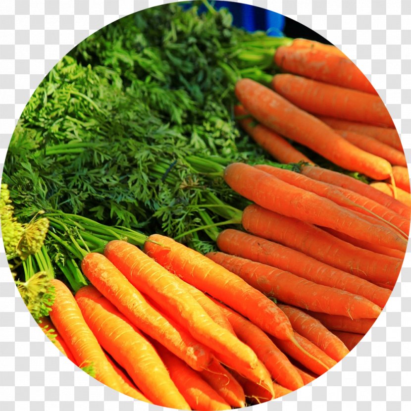 Junk Food Carrot Vegetable Herb - Root Vegetables - Plants Of The Southwest Transparent PNG