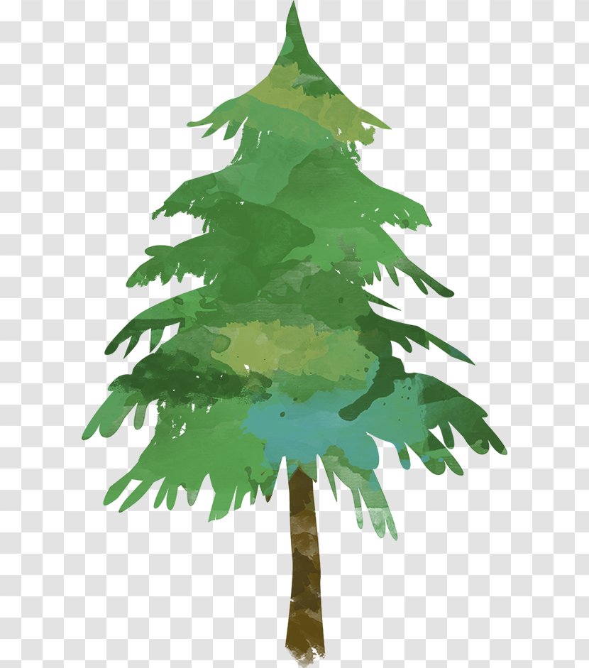 Pine Fir Tree Evergreen Clip Art - Pruning Transparent PNG