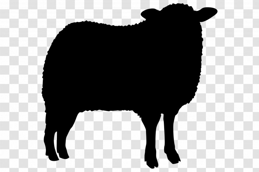 Sheep Agneau Cat Clip Art - Logo Transparent PNG