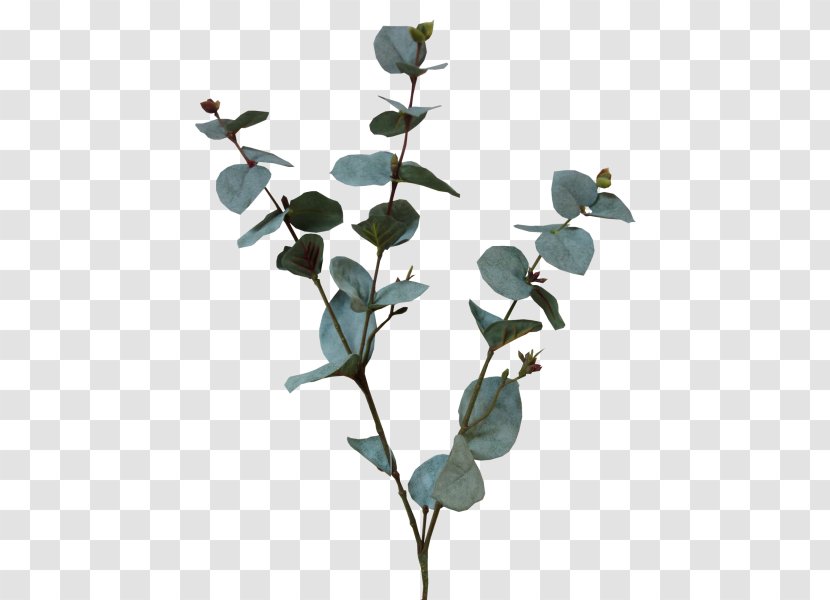 Plant Stem Artificial Flower Leaf Tree - Branch - Eucalyptus Transparent PNG