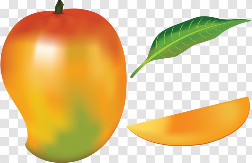 Mango Fruit Drawing Clip Art - Vegetable Transparent PNG