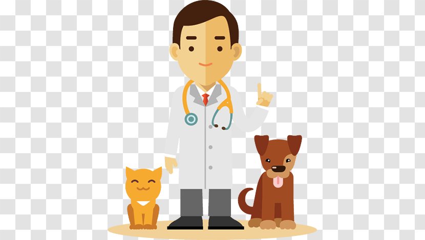 Dog Cat Veterinarian - Paraveterinary Worker Transparent PNG