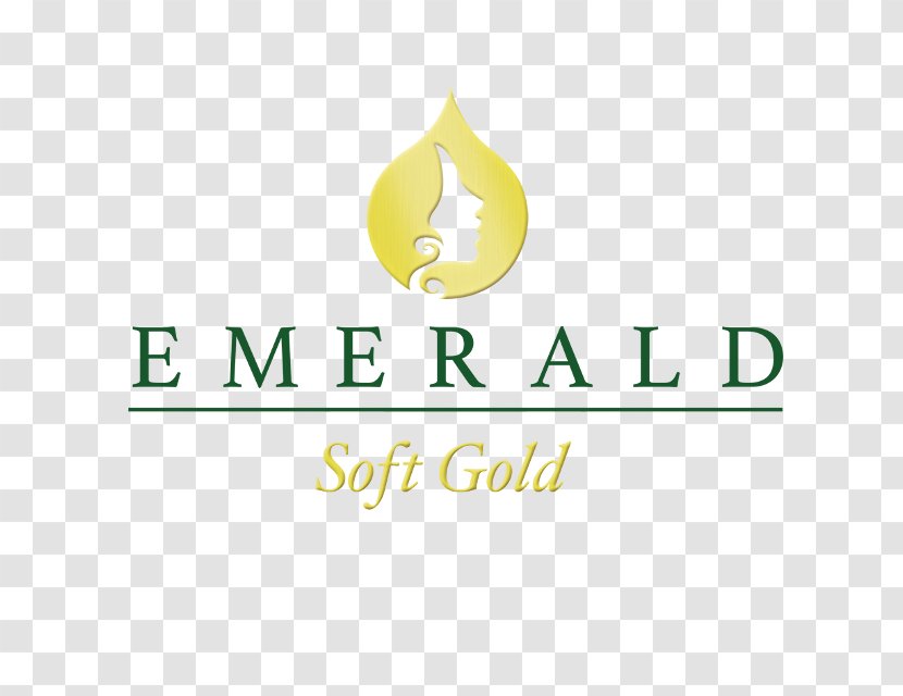 Emerald Expositions National Pavement Expo 2018 NYSE:EEX Logo Business - Company - GOLD BANNER Transparent PNG