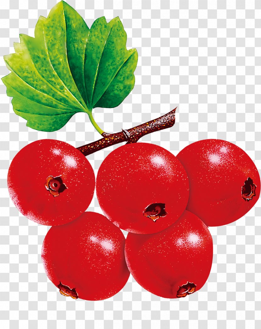 Currant Cherry Fruit - Local Food Transparent PNG