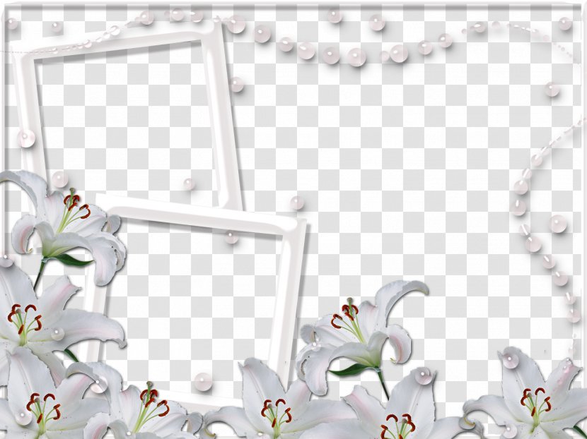 Picture Frame - Photography - Mood Pictures Transparent PNG