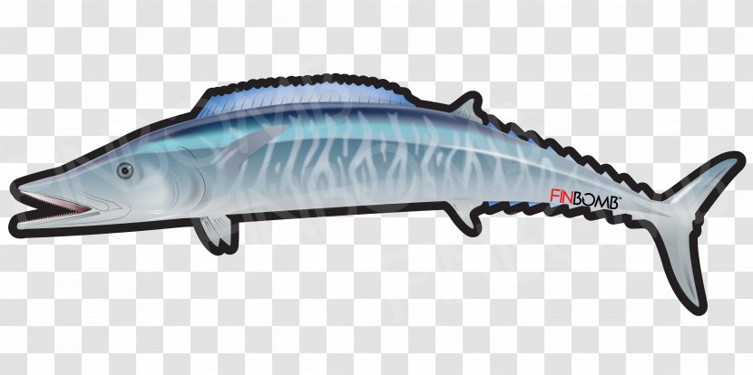 Fish Marine Mammal Sticker Color Transparent PNG