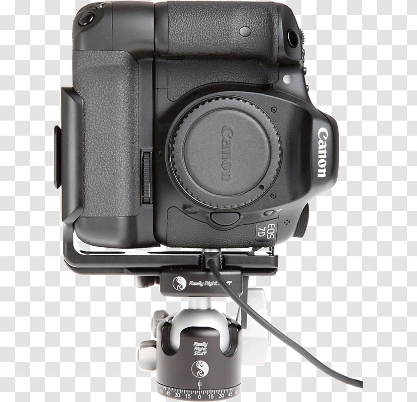 Digital SLR Camera Lens Single-lens Reflex Cover Mirrorless Interchangeable-lens - Photo Shoot - L Plate Transparent PNG