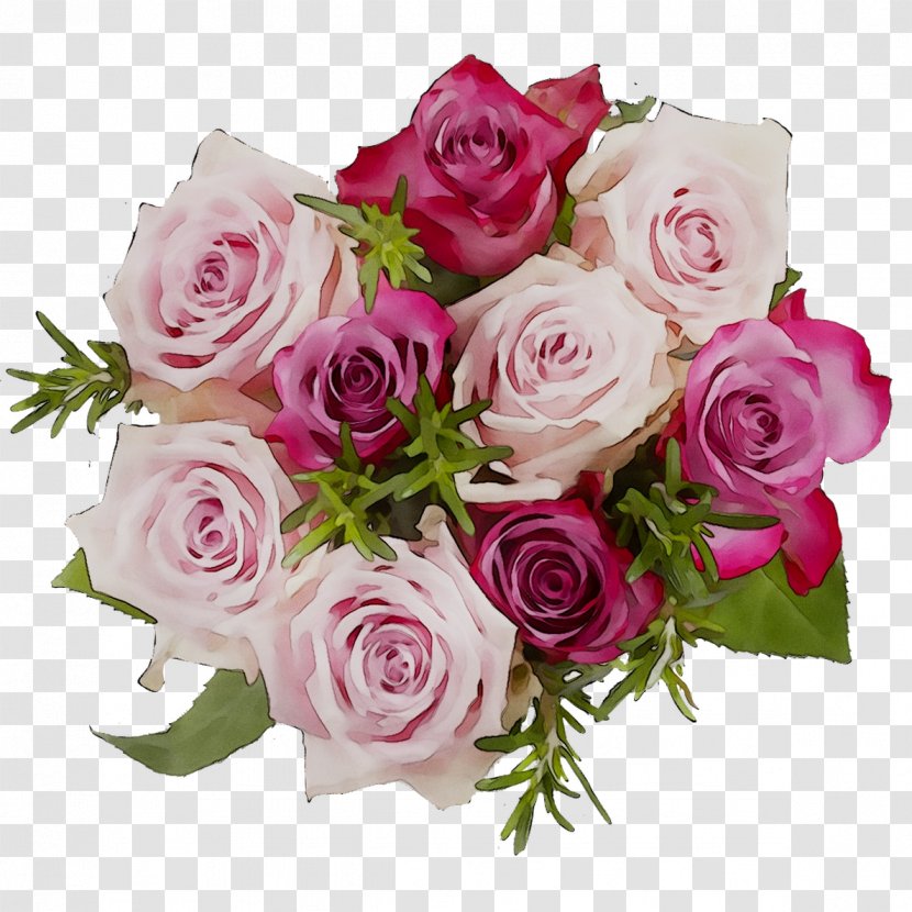 Garden Roses Cabbage Rose Floral Design Cut Flowers - Hybrid Tea Transparent PNG