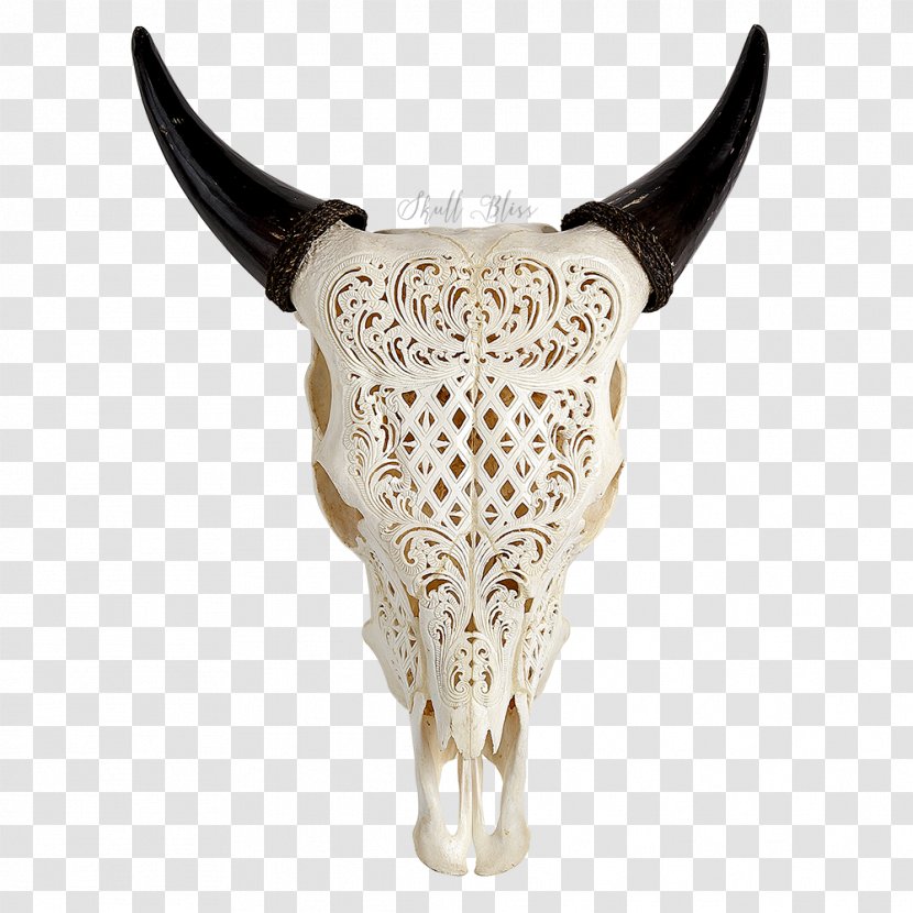 Texas Longhorn Skull Aurochs Wall Decal - Bull Transparent PNG