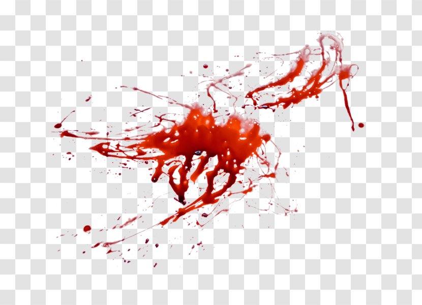 Blood 0 Clip Art - Pattern - Image Transparent PNG