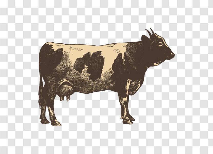 Beef Cattle Barbecue Taco Beefsteak Transparent PNG