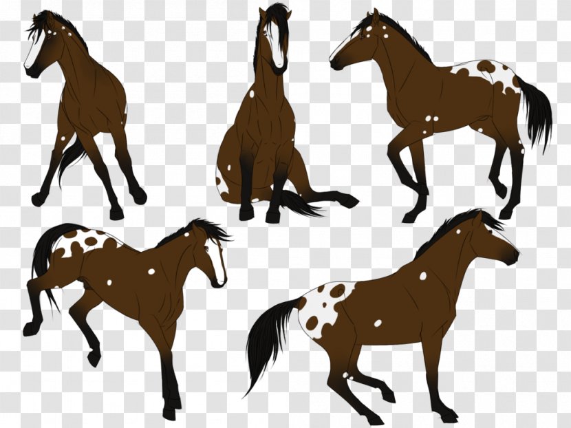 Mustang Foal Mare Stallion Colt - Horse Tack Transparent PNG