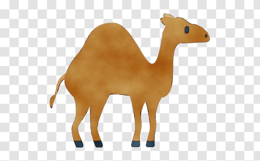 Animal Cartoon - Figurine Arabian Camel Transparent PNG