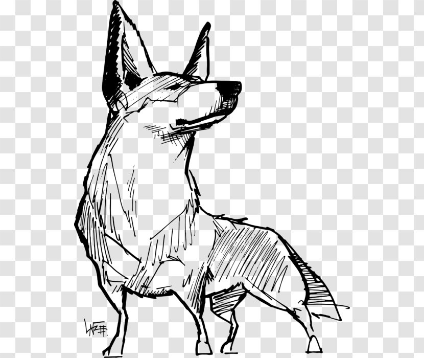 Dog Drawing - Australian Cattle - Tail Blackandwhite Transparent PNG