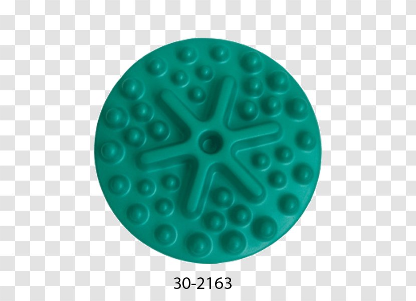 Turquoise Circle Diameter Organism - Green Transparent PNG