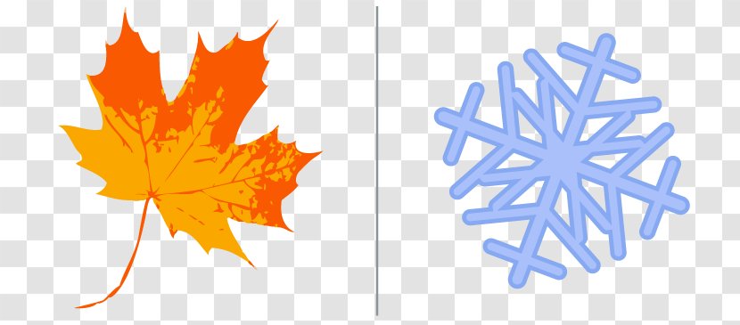Autumn Leaf Color Maple Sassafras - Winter Savings Transparent PNG
