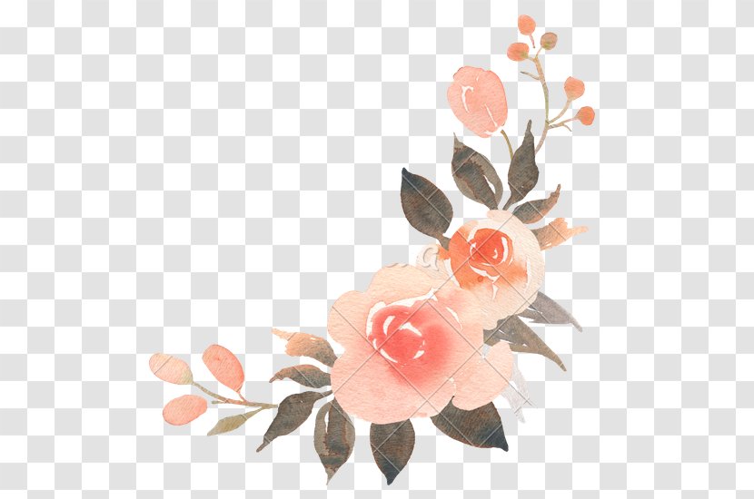 Flower Bouquet Garden Roses Floral Design - Rose - Peach Blossom Transparent PNG