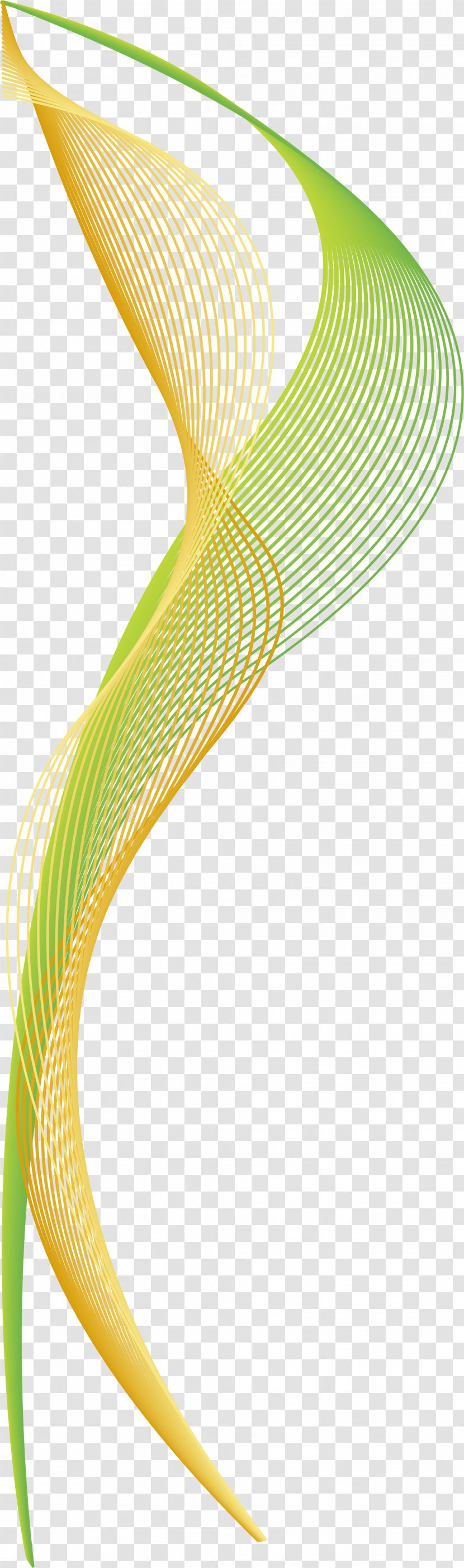 Curve Green Euclidean Vector Arc - Line Transparent PNG