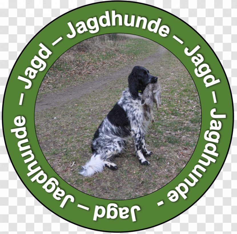 Dog Breed Alpine Dachsbracke Westphalian German Hound Styrian Coarse-haired - Coarsehaired - Flat Coated Retriever Transparent PNG