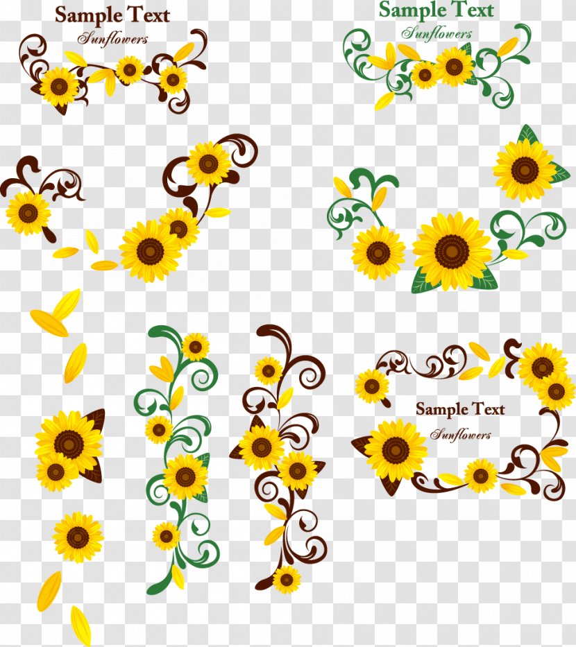 Floral Design Common Sunflower Clip Art - Designer - Flower Pattern Vector Transparent PNG