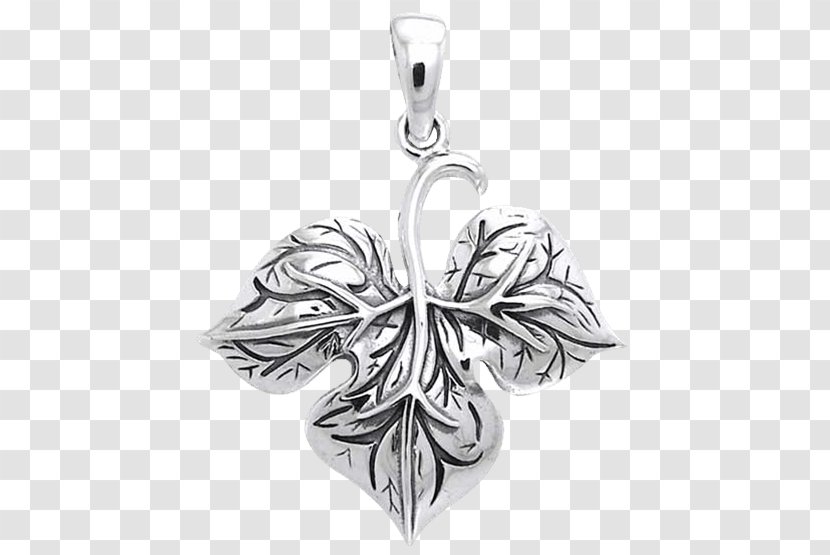 Leontopodium Nivale Edelweiss Locket Dirndl Silver - Leaf Transparent PNG