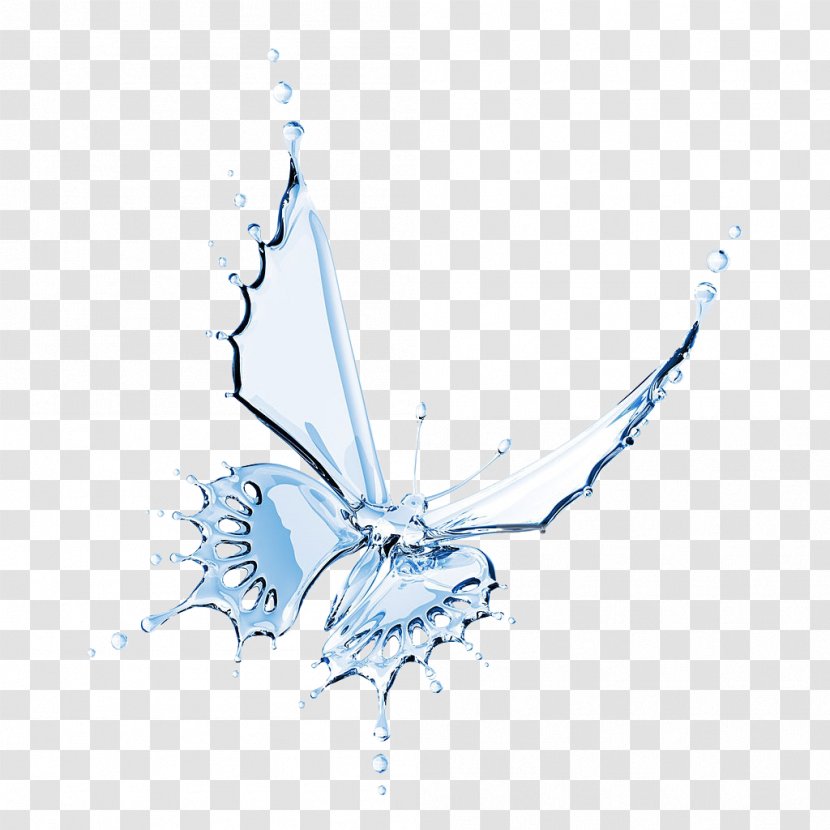 Butterfly Water Cooler Insect Drop Transparent PNG