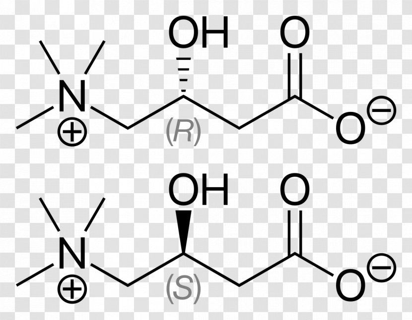 Levocarnitine Fatty Acid Bindii Acetylcarnitine Chemical Compound - Opioid - Brand Transparent PNG