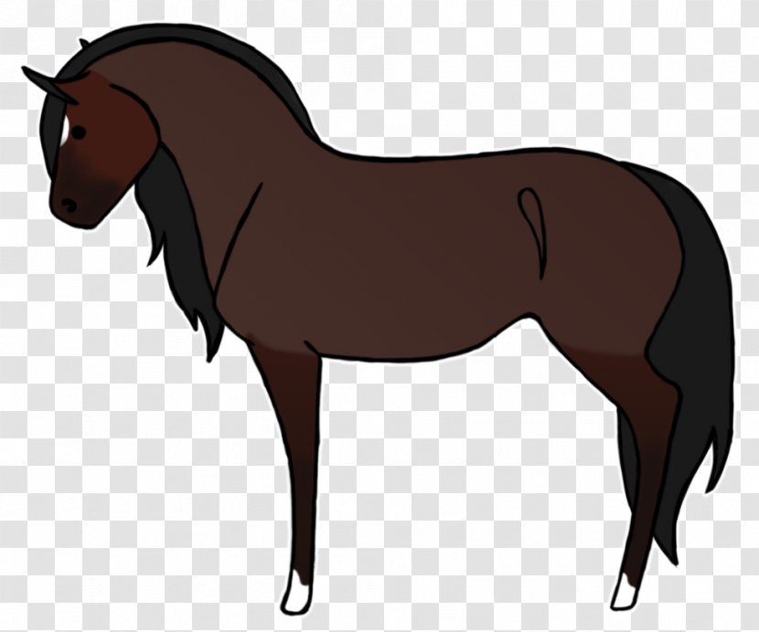Mustang Pony Foal Stallion Mare - Saddle - Kx 80 Transparent PNG